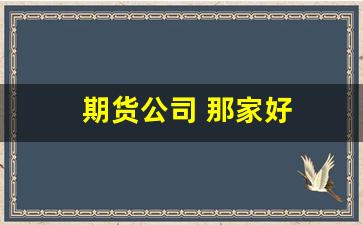 期货公司 那家好(期货公司选哪家好)_https://www.luoxuangg888.com_深交所_第1张
